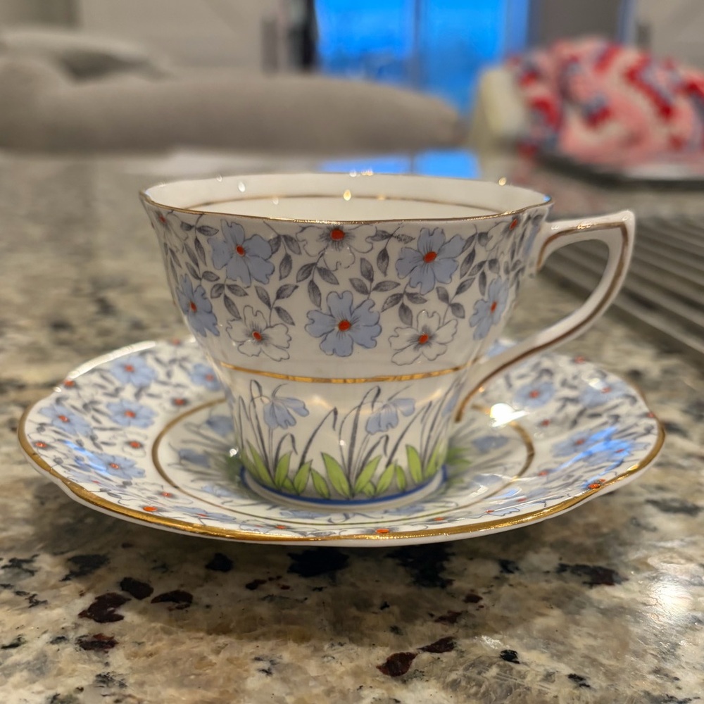 vintage Rosina bone china tea cup and saucer
